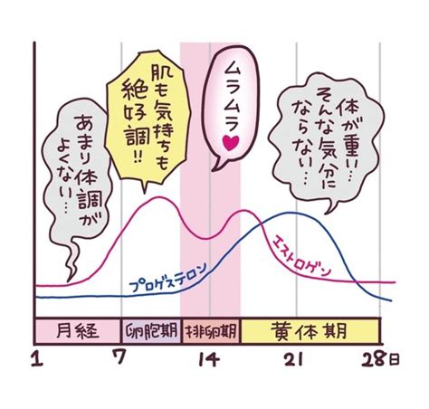 生理前は性欲がアップする？ダウンする？原因やセックスする際。